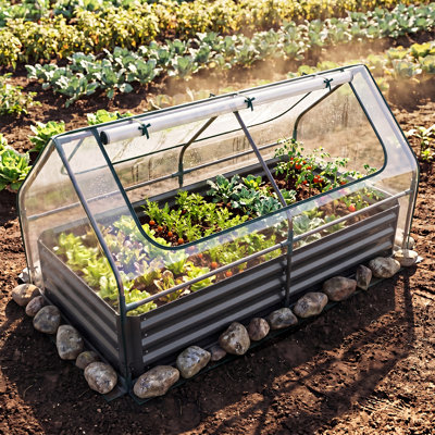Pachton 37'' H X 72'' W Raised Garden Bed