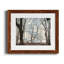 Silverwood - reproduction de photo sur papier encadrée-238099765-238099766