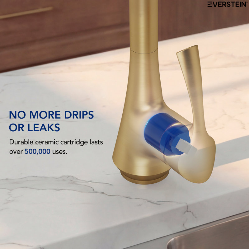 Commercial 2-Function Pull Down Single Handle Kitchen Faucet, Brushed Gold
