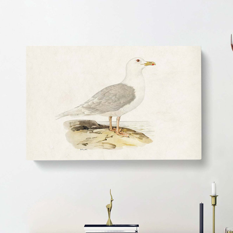 Icelandic Gull by Von Wright - Wrapped Canvas, 40cm H x 60cm W x 3cm D