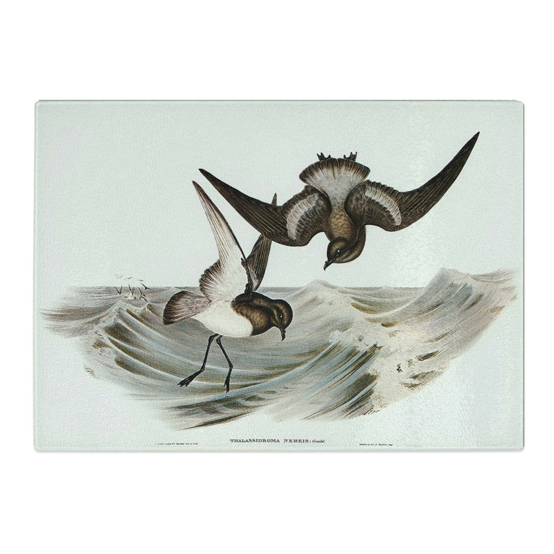 Tempered Glass Grey Backed Storm Petrel Birds by Elizabeth Gould Chopping Board, 28.5 cm x 20 cm
