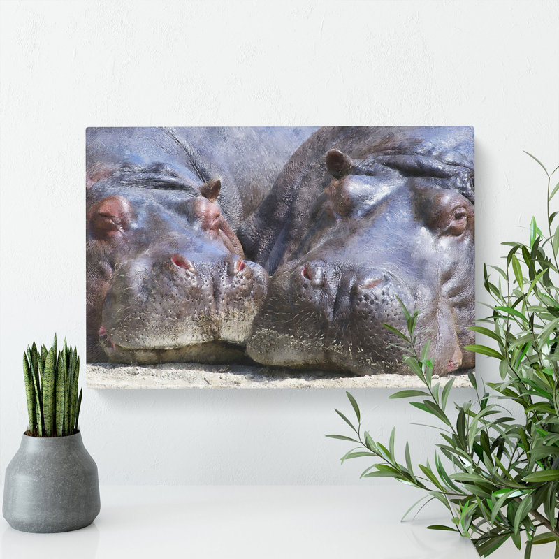 Two Hippos - Wrapped Canvas, 40cm H x 60cm W x 3cm D