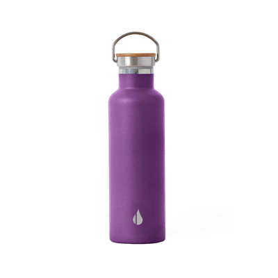 Bouteille d'eau isotherme à double paroi 25 oz avec couvercle en bambou Elemental Classic