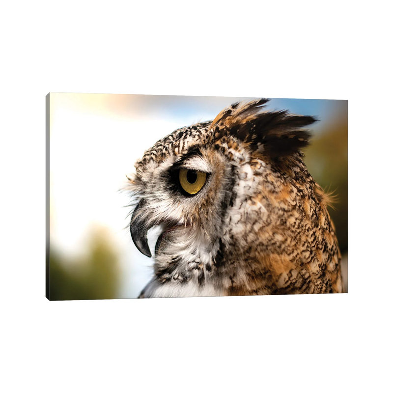 Profil de hibou - NHV278, H 18 po x l 26 po x P 1,5 po