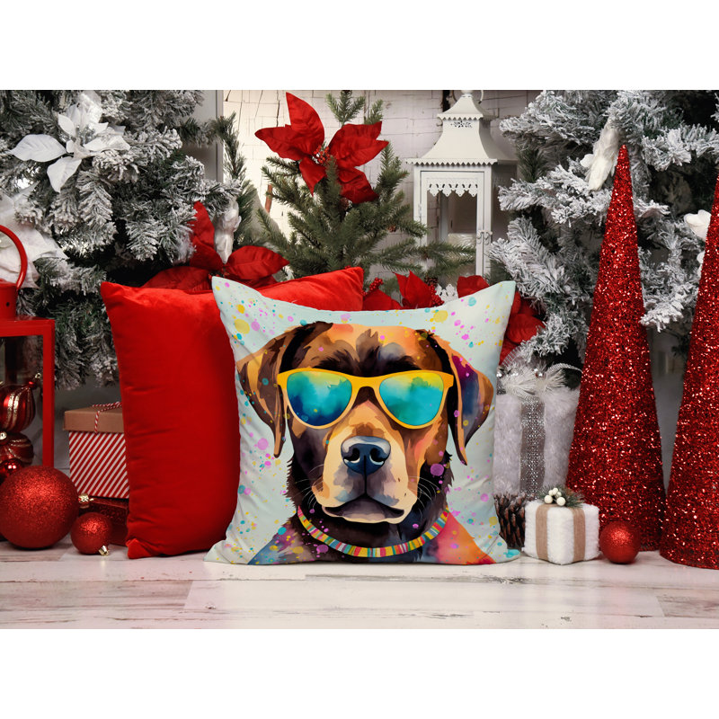 Other/No Pattern Outdoor Throw Pillow