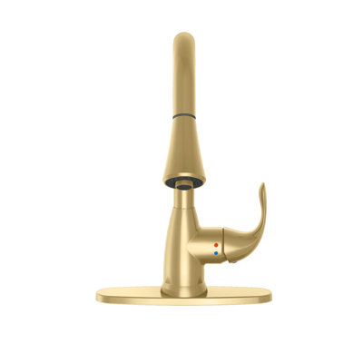 Vetta Pull Down Kitchen Faucet
