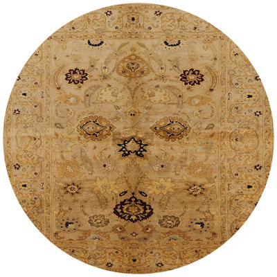 Ghazaros Oriental Indoor Rug