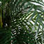 Plante-1929067215