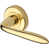 Polished Brass