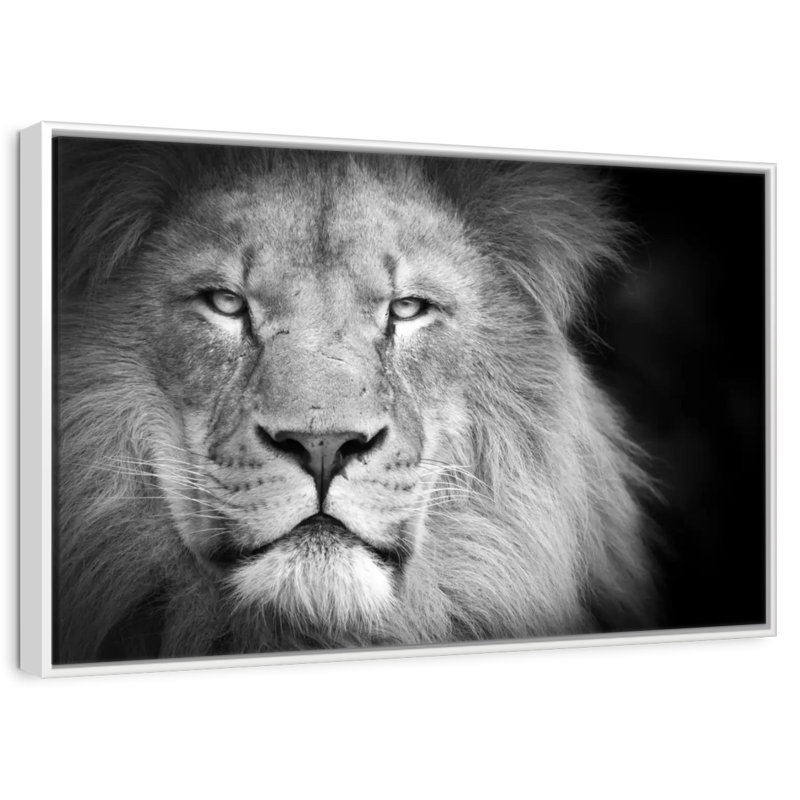 Portrait de lion, Cadre flottant blanc, 40 po x 27 po