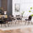 Upholstered Dining Chairs Faux Leather Side Chair With Metal Frame-2123006444