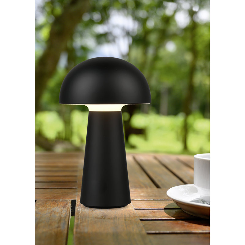 Allorah 21.5Cm Table Lamp with USB, Black