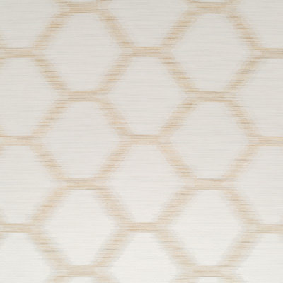 Window Library Decorative Fabric