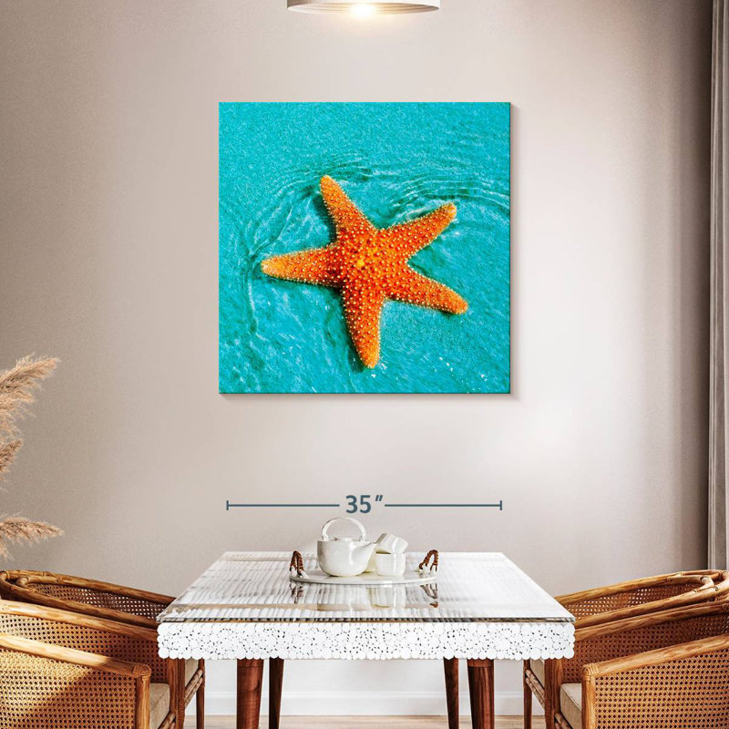 Brampt Submerged Starfish