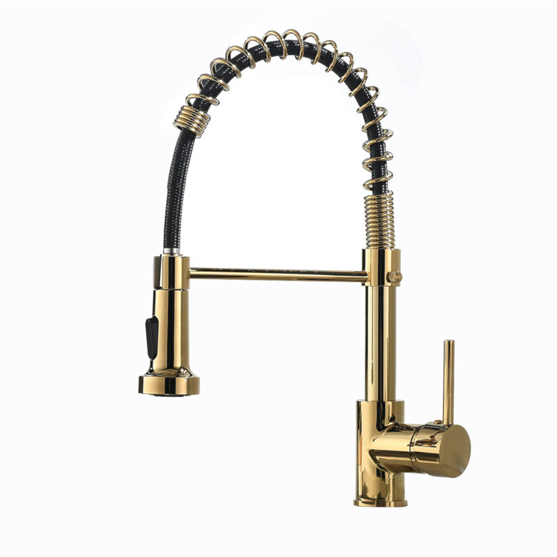 Robinet de cuisine avec douchette rétractable, robinet d'évier de cuisine à poignée simple