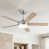 Brushed Nickel with Gray Wood/Natural Wood Blades