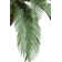 Panama 48" Cycas Palm Tree in Pot