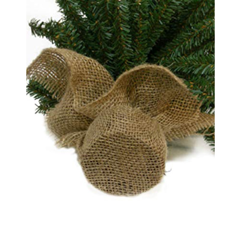 12 Miniature Pine Tree