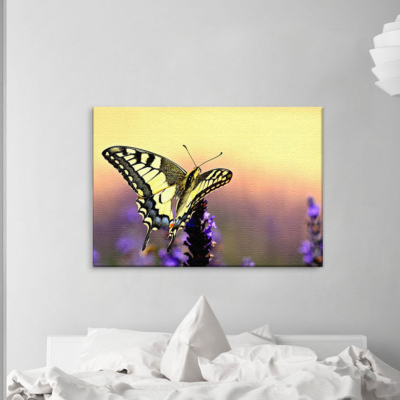 Print on Canvas, 100cm H x 150cm W x 2cm D