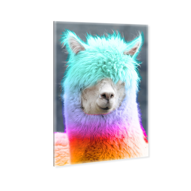 Rainbow Alpaca Print
