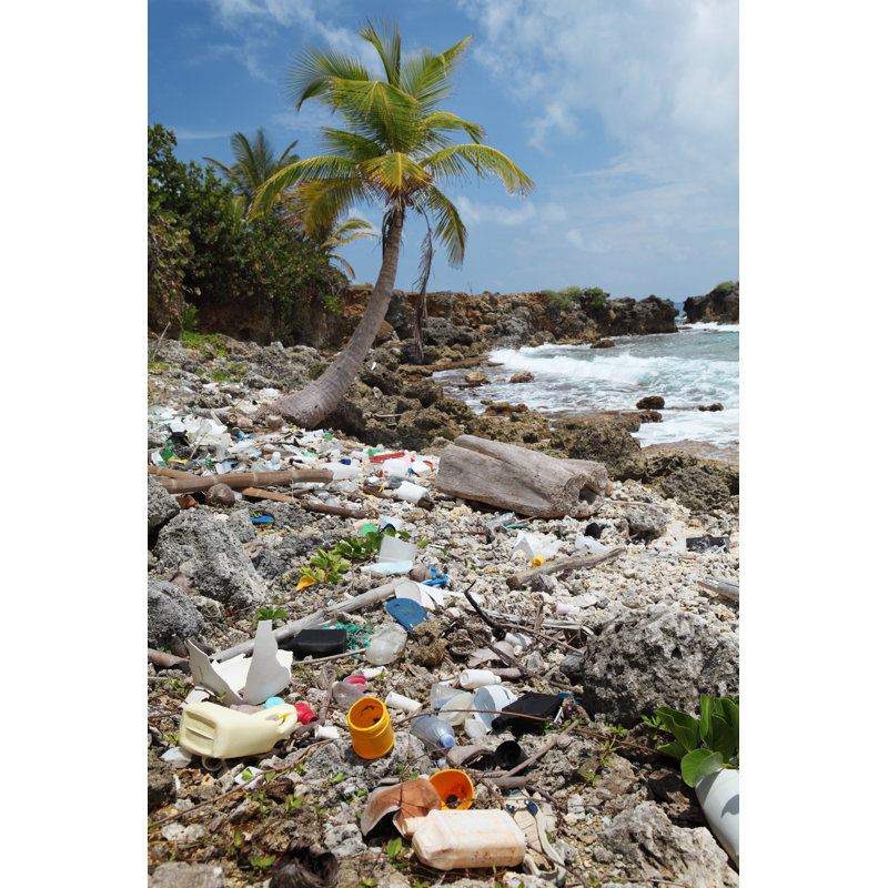 Plage sale de Narvikk, H 36 po x l 24 po