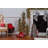 Pre-Lit Alpine Trees With UL LED Lights (Set Of 3)
