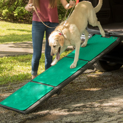 Rampe pour animaux multiples 71 po Supertrax