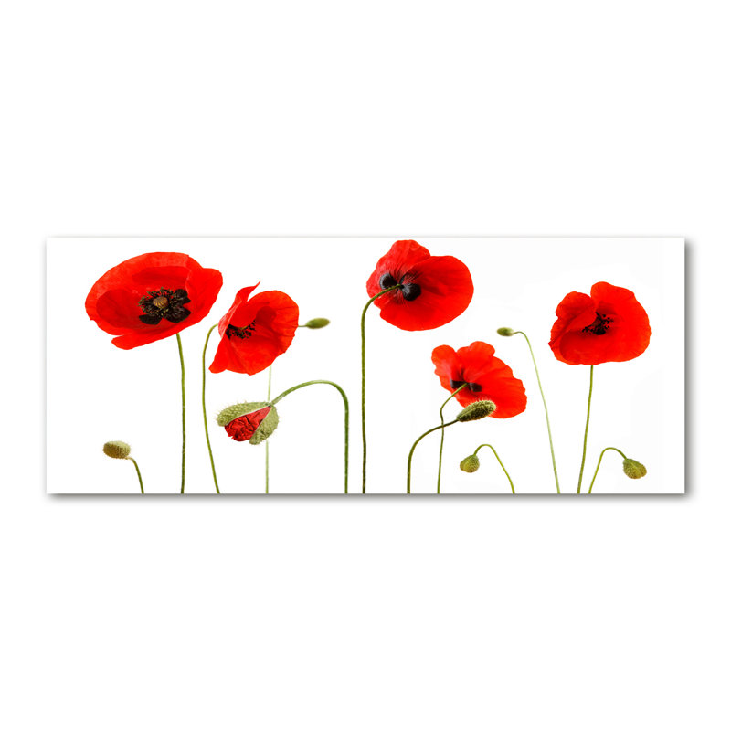 Maki - Wrapped Canvas Print