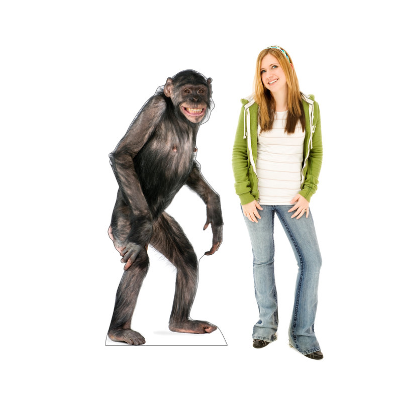 Life-Size Chimpanzee Cardboard Standup Display