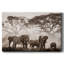 Parc national Amboseli, toile tendue avec châssis-159796283