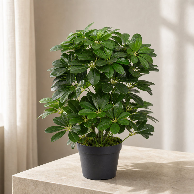 55cm Faux Plant in Pot Liner