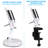 Stelly Metal Adjustable Desk Lamps, Swing Arm Architect Desk Lamp with Clamp for Home Office-49665479