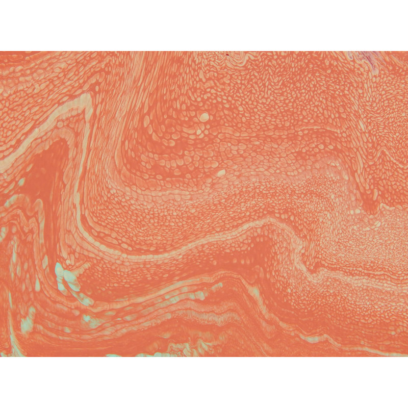 CORPUSCLES Print by Will Birdwell, Wrapped Canvas, 24" H x 32" W