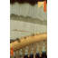 Une douche soudaine-720033563