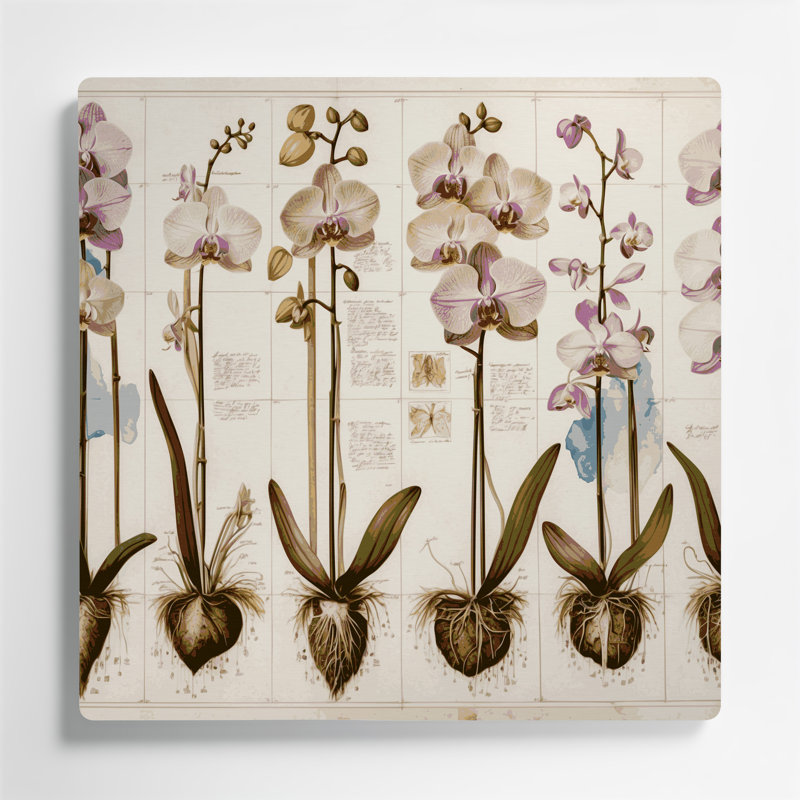 Art botanique beige, botanique, H 96 po x l 96 po x P 0,05 po