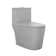 Dreux One Piece Elongated Dual Flush Toilet with 0.95/1.26 GPF