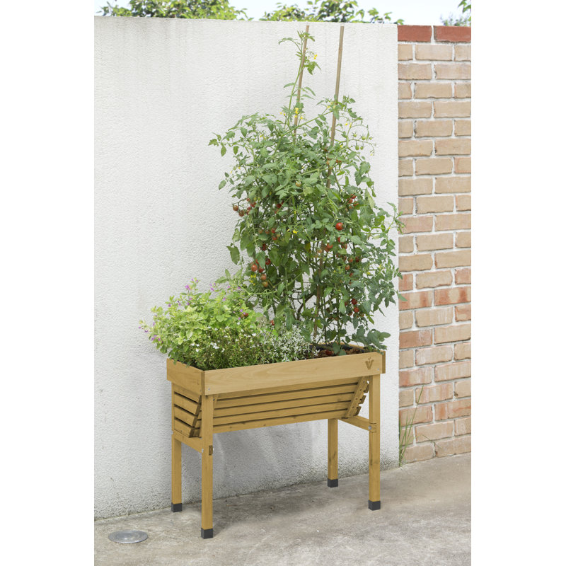 Lit de jardin surélevé en bois 2,5 pi x 2 pi, Gris anthracite