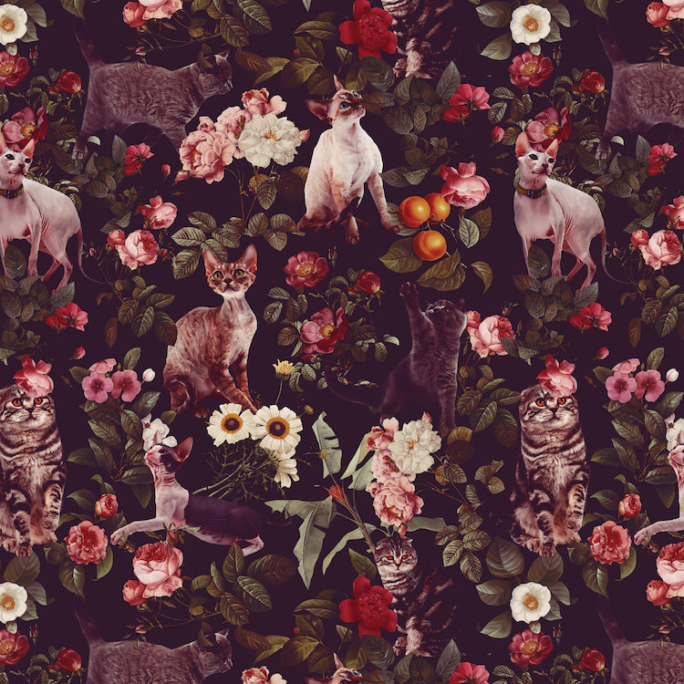 Motif floral et chats, impression sur toile tendue, H 26 po x l 26 po x P 1,5 po, Pas de tapis, Toile tendue