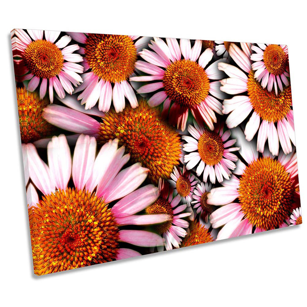 Ebern Designs Cone Flowers Floral Pink Picture CANVAS WALL ART Print ...