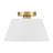 Orlandus 1-Light Ceiling Light in Natural Brass-491475275