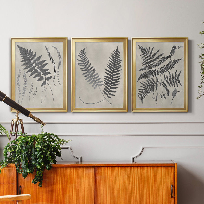«Vintage Fern Study II», ensemble de 3 reproductions d'art sur toile, H 26,5 po x l 109,5 po x P 1,5 po, Encadrement doré