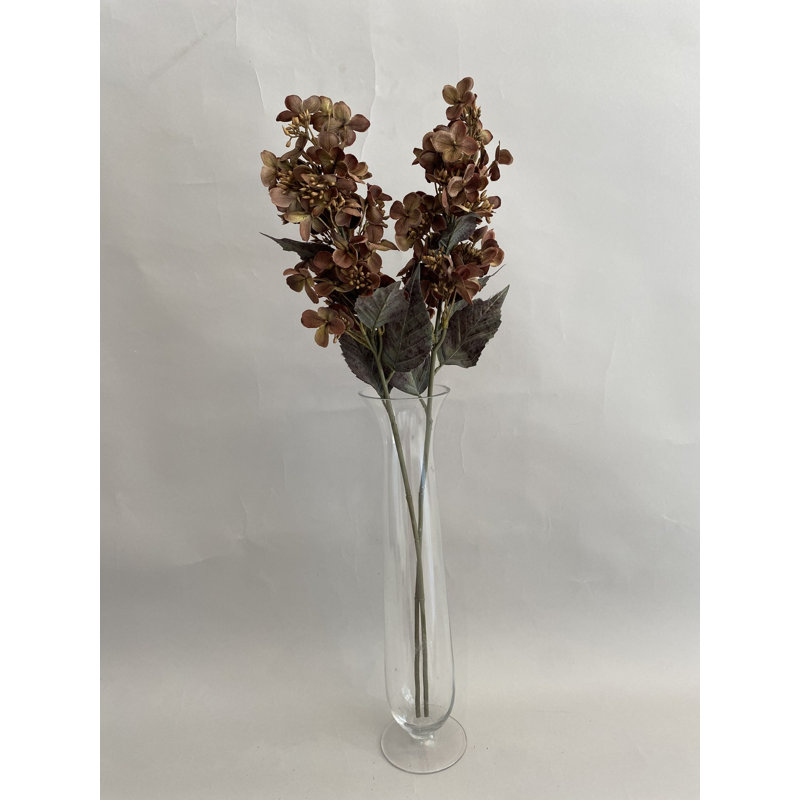 Tige d'hortensia brune