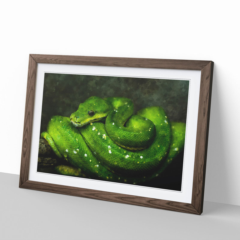 Green Python Snake - Framed Print, 36cm H x 48cm W x 2cm D, Walnut Framed