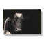 Peering Cow In Abstract - Wrapped Canvas-55340482