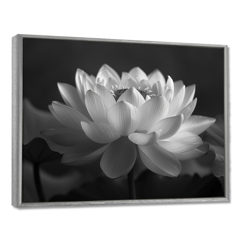 Gris gris et gris, impression d'art mural Lotus, H 34 po x l 44 po, Encadrement argenté