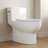 Concord Elongated One-Piece Toilet,  12" Rough In Size White Toilet with Comofrt ADA Seat Height Toilet (Seat Included)-100542132
