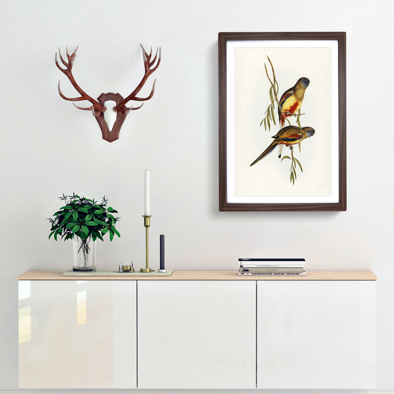 Crimson-Bellied Parakeets by Elizabeth Gould - Framed Print, 36cm H x 27cm W x 2cm D, Walnut Framed