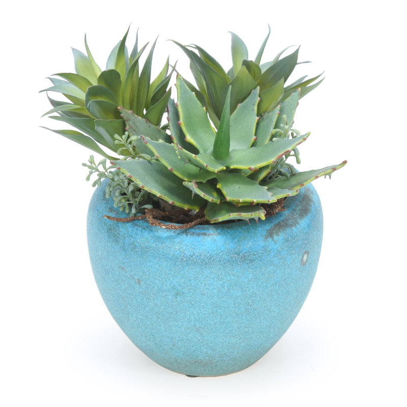 Succulent agave artificiel 4" en pot