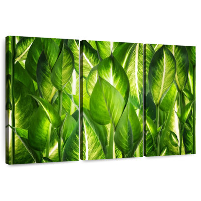 Feuilles vertes Harnek rétroéclairées