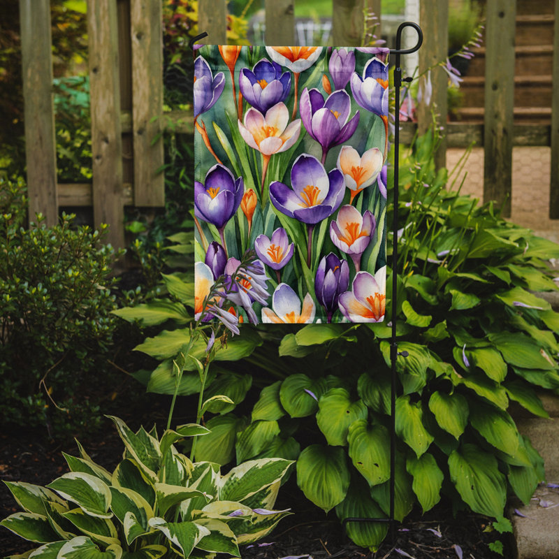 Orchidées paphiopedilum, drapeau du jardin, Fleurs de crocus
